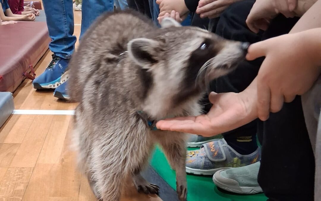 Roztomilý mýval Ludvík navštívil školní družinu